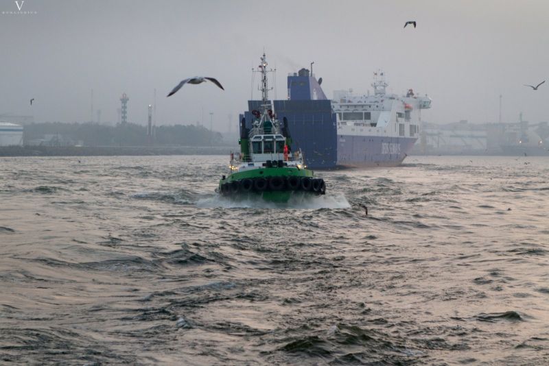 Review of cargo handling in Klaipeda seaport, at Butingės terminal and other eastern coast Baltic seaports January – October